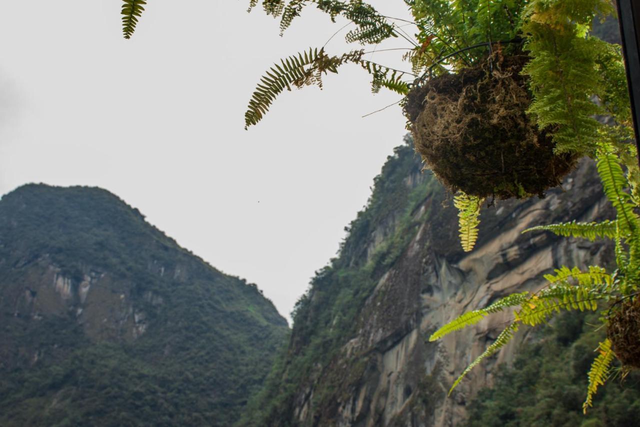 Runas Inn Machupicchu Dış mekan fotoğraf