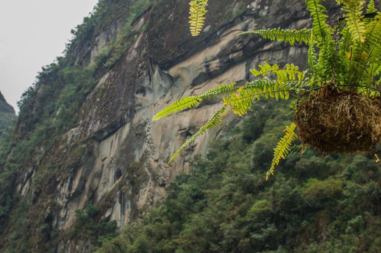 Runas Inn Machupicchu Dış mekan fotoğraf